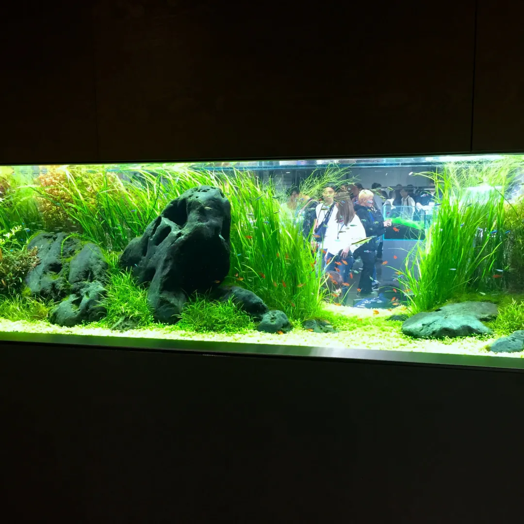 新潟旅行17 Naパーティー17 2日目 Ada本社 Inner Garden